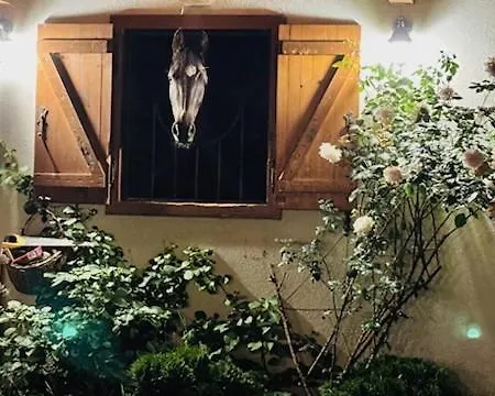Czernik House & Vakantiehuis *
