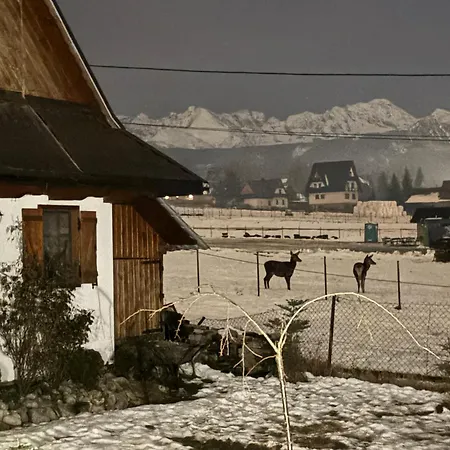 Czernik House & Vakantiehuis Poronin